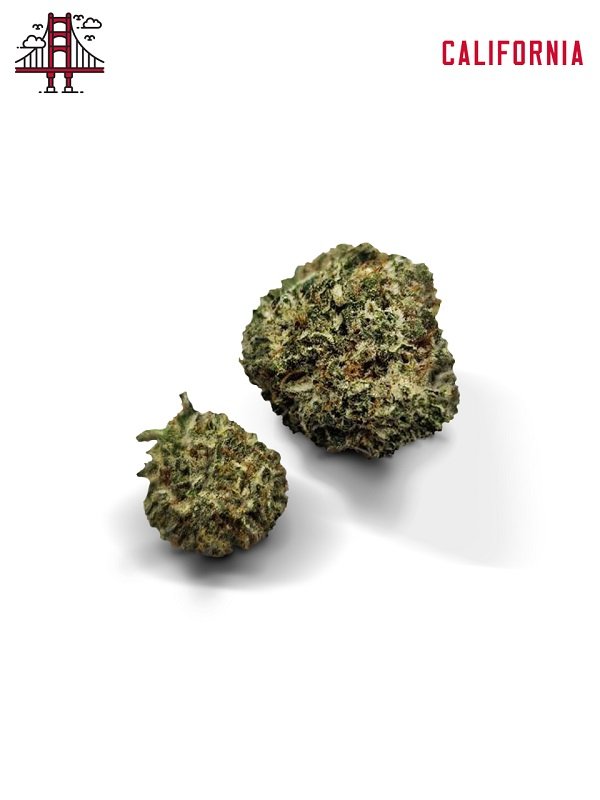 Neon sunshine Strain UK Neon Sunshine Strain UK