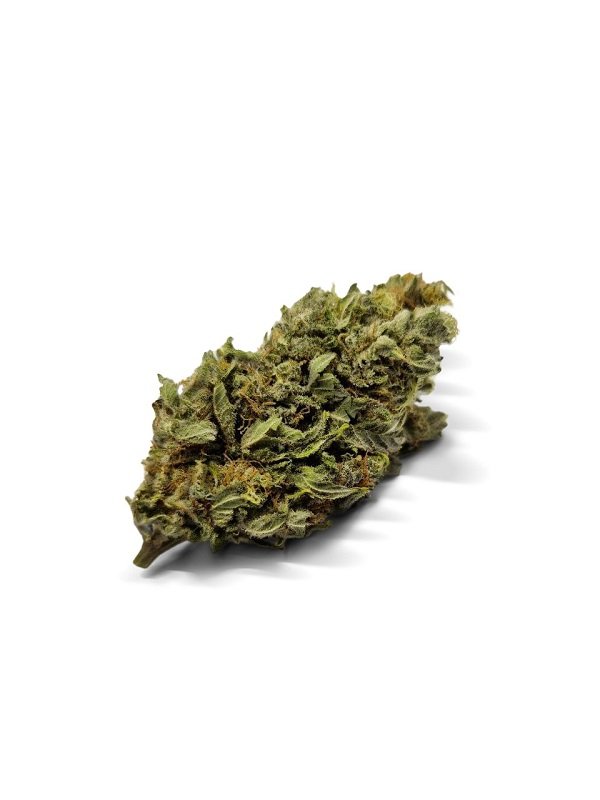 Sweet Pea Strain UK Sweet Pea Strain UK